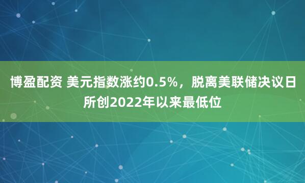 博盈配资 美元指数涨约0.5%，脱离美联储决议日所创2022年以来最低位