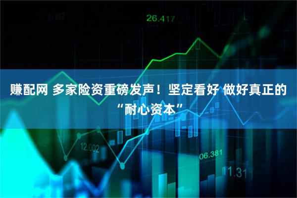 赚配网 多家险资重磅发声！坚定看好 做好真正的“耐心资本”