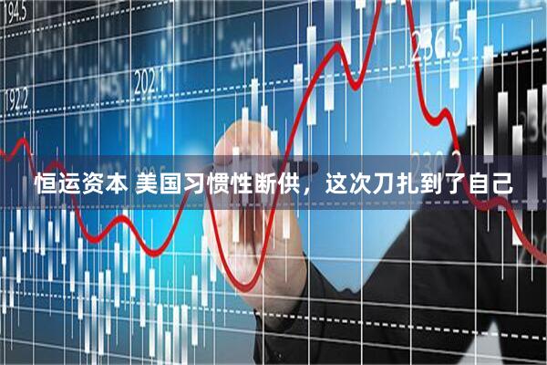 恒运资本 美国习惯性断供，这次刀扎到了自己