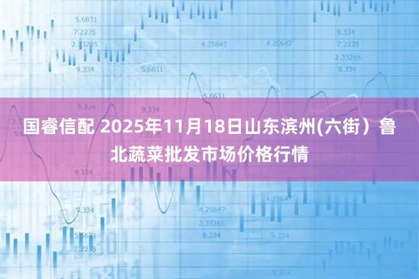 国睿信配 2025年11月18日山东滨州(六街）鲁北蔬菜批发市场价格行情