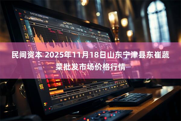 民间资本 2025年11月18日山东宁津县东崔蔬菜批发市场价格行情