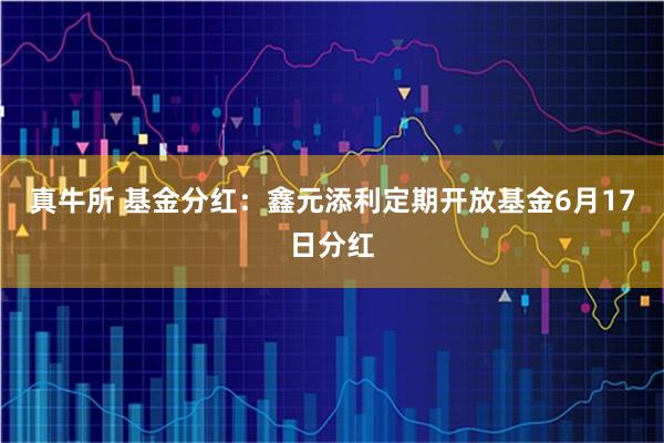 真牛所 基金分红：鑫元添利定期开放基金6月17日分红