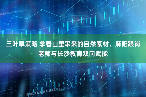 三叶草策略 拿着山里采来的自然素材，麻阳跟岗老师与长沙教育双向赋能