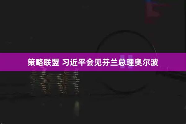 策略联盟 习近平会见芬兰总理奥尔波