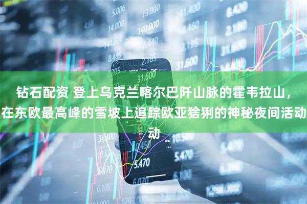 钻石配资 登上乌克兰喀尔巴阡山脉的霍韦拉山，在东欧最高峰的雪坡上追踪欧亚猞猁的神秘夜间活动